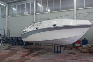 Rio International Marine 8 mt