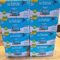 Schesir, Tonnetto in Gelatina