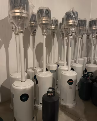 Funghi a gas nuovi