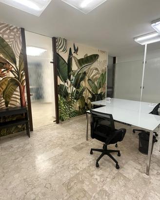 Ufficio, Rovigo centro