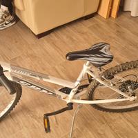 Mtb 24 