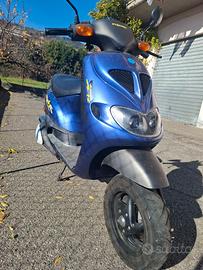 Zip sp 50( libretto verde )