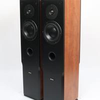 Dynaudio-Diffusori da Pavimento -Audience 62