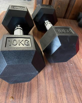 Pesi Manubri esagonali 10kg