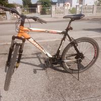 Mountain bike Bottecchia