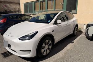 Tesla model y long dual motor con FSD