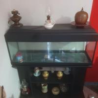 acquario