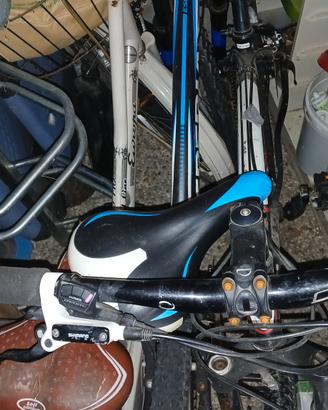mtb esperia