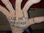 Immagine 6
