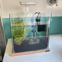 Acquario BettaKube 16L completo di tutto – nuovo