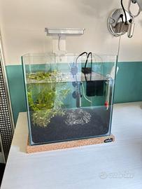 Acquario BettaKube 16L completo di tutto – nuovo