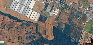 Ampio Terreno Agricolo di 3,6 Ettari