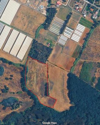 Ampio Terreno Agricolo di 3,6 Ettari