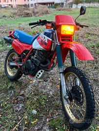 Honda xl 600 r paris dakar 1984