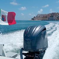 Boston Whaler Guardian 22 -UNICO-
