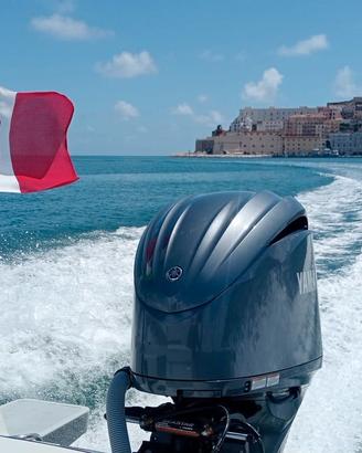 Boston Whaler GUARDIAN' 22 UNICO Prezzo Ribassato