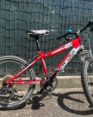 Mtb Atala