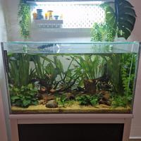 acquario 180L 