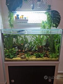 acquario 180L 
