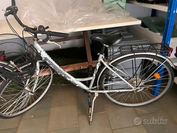 Coppia di biciclette city bike