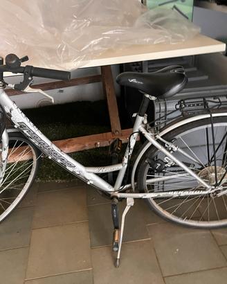 Coppia di biciclette city bike