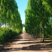 Operatore ecologico- trattorista