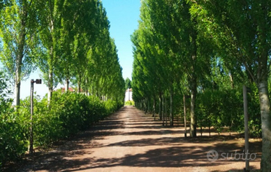 Operatore ecologico- trattorista