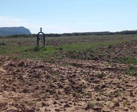 Agricolo a Sassari