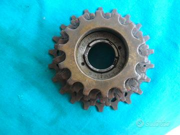 Pignone Regina Oro-corsa-denti: 14-15-16-17-19-22-