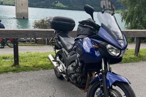 TDM 900
