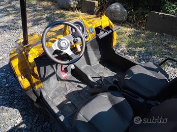 mini quad