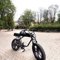 Electric bike