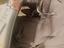 Immagine 3