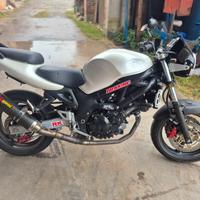 Suzuki SV 650 - 2000