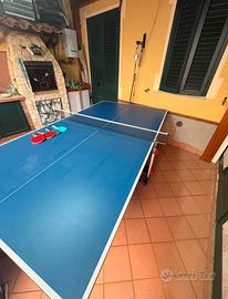 tavolo ping pong usato pochissimo 