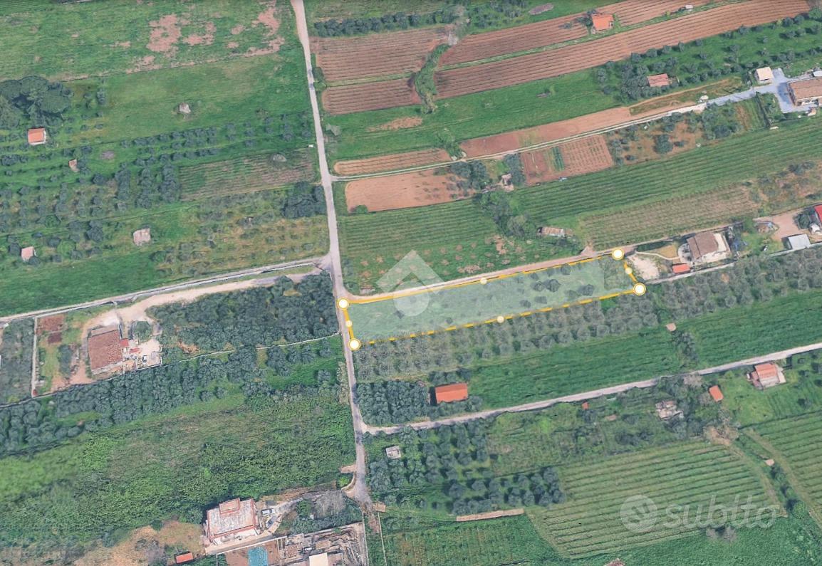 TER. AGRICOLO A ROMA - Altro
