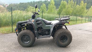 Quad utility Britech 180 targato ed accessoriato