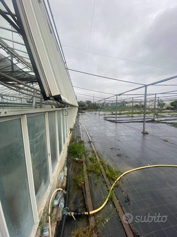 Terreno di 3910 m² a Albenga - Vista 5