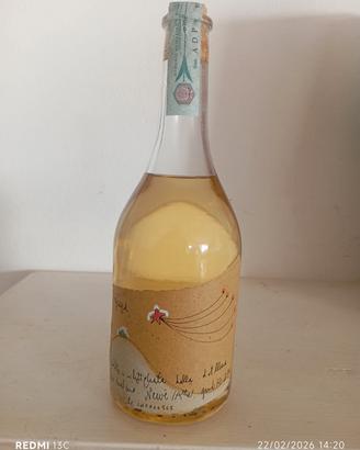 grappa serafino levi 2004