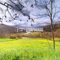 PA437 TERRENO EDIFICABILE DI 12000 MQ