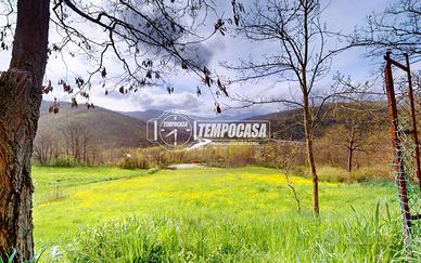 PA437 TERRENO EDIFICABILE DI 12000 MQ