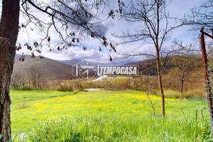 PA437 TERRENO EDIFICABILE DI 12000 MQ