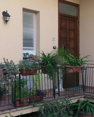 Appartamento - San Nicola la Strada