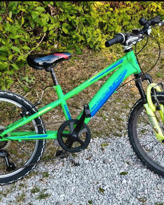 BICI MTB BIMBO ADRIATICA ROCK 20″ 6V