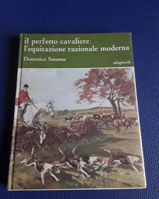 il perfetto Cavaliere 