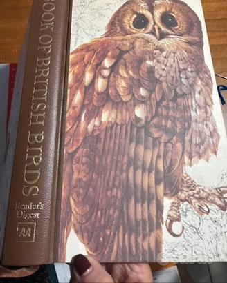 Libro su uccelli in lingua inglese