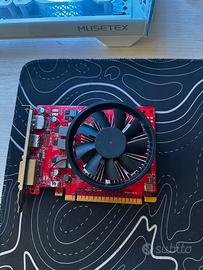 Scheda Video ASUS GTX 1050 Ti 4GB