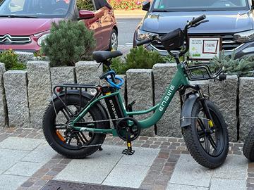 BICICLETTE ELETTRICHE