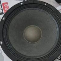 woofer proel 
