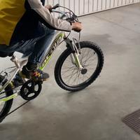 Bici bamb